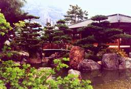 Zen-Garten Monaco, 2002 (analog) &nbsp;- &nbsp;Zen Garden In Monaco, 2002 