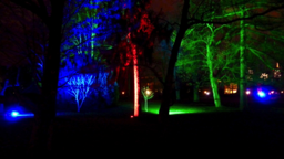 Palmengarten „Winterlichter“ (Frankfurt am Main, Germany) &nbsp;- &nbsp;Botanic Garden